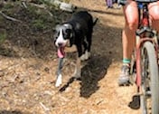IMG_20210603_131211